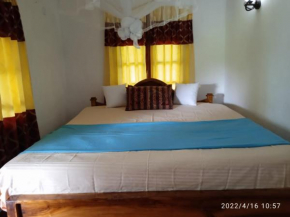 Blue Night Homestay